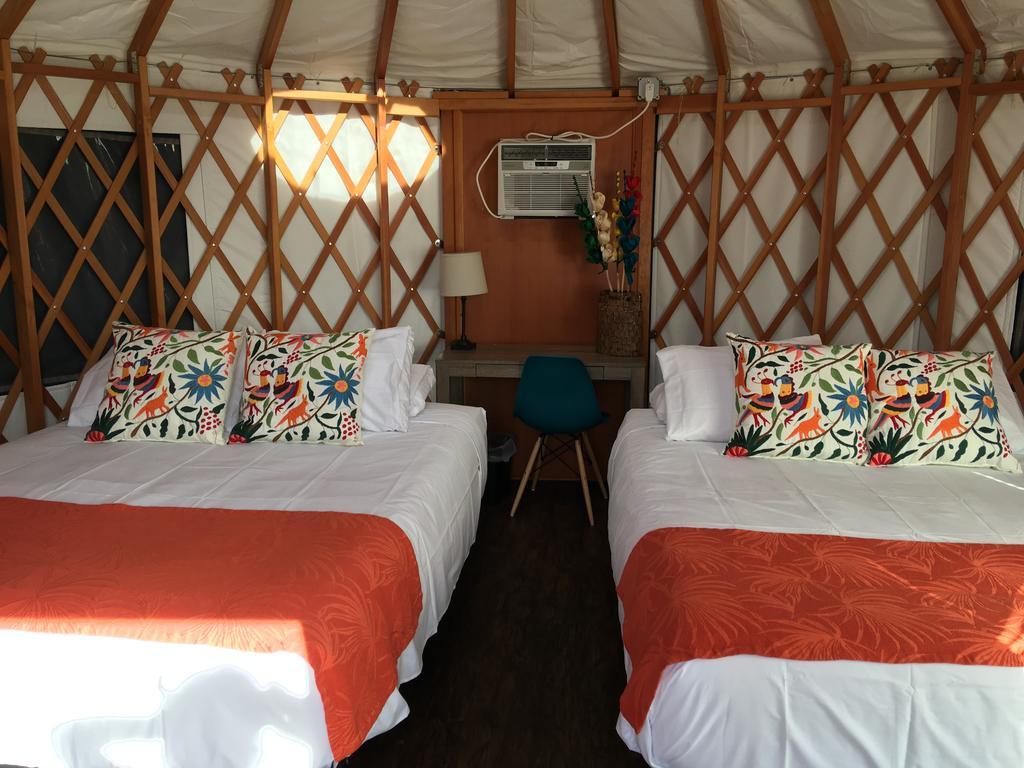 Camp Coyoacan 阿兰瑟斯港 外观 照片